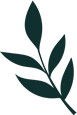 Rachel and Co - Hoja Footer